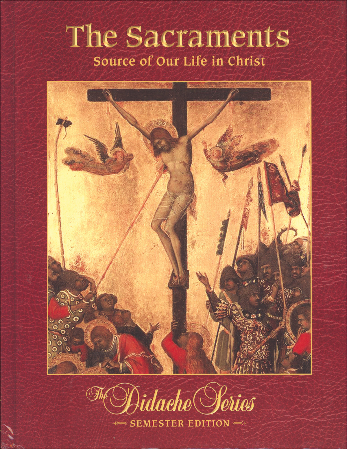 The Sacraments: Source of Our Life in Christ, Hardcover | ComCenter - Cath…